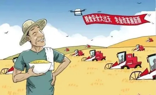 粮食安全战略